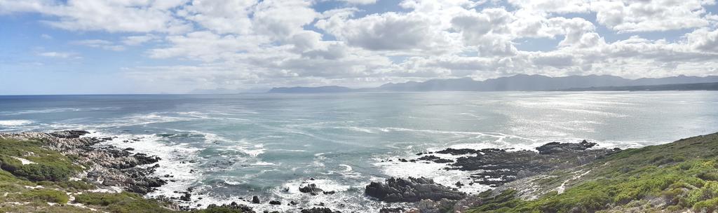 Whale Huys Luxury Oceanfront Eco Villa Gansbaai Bagian luar foto